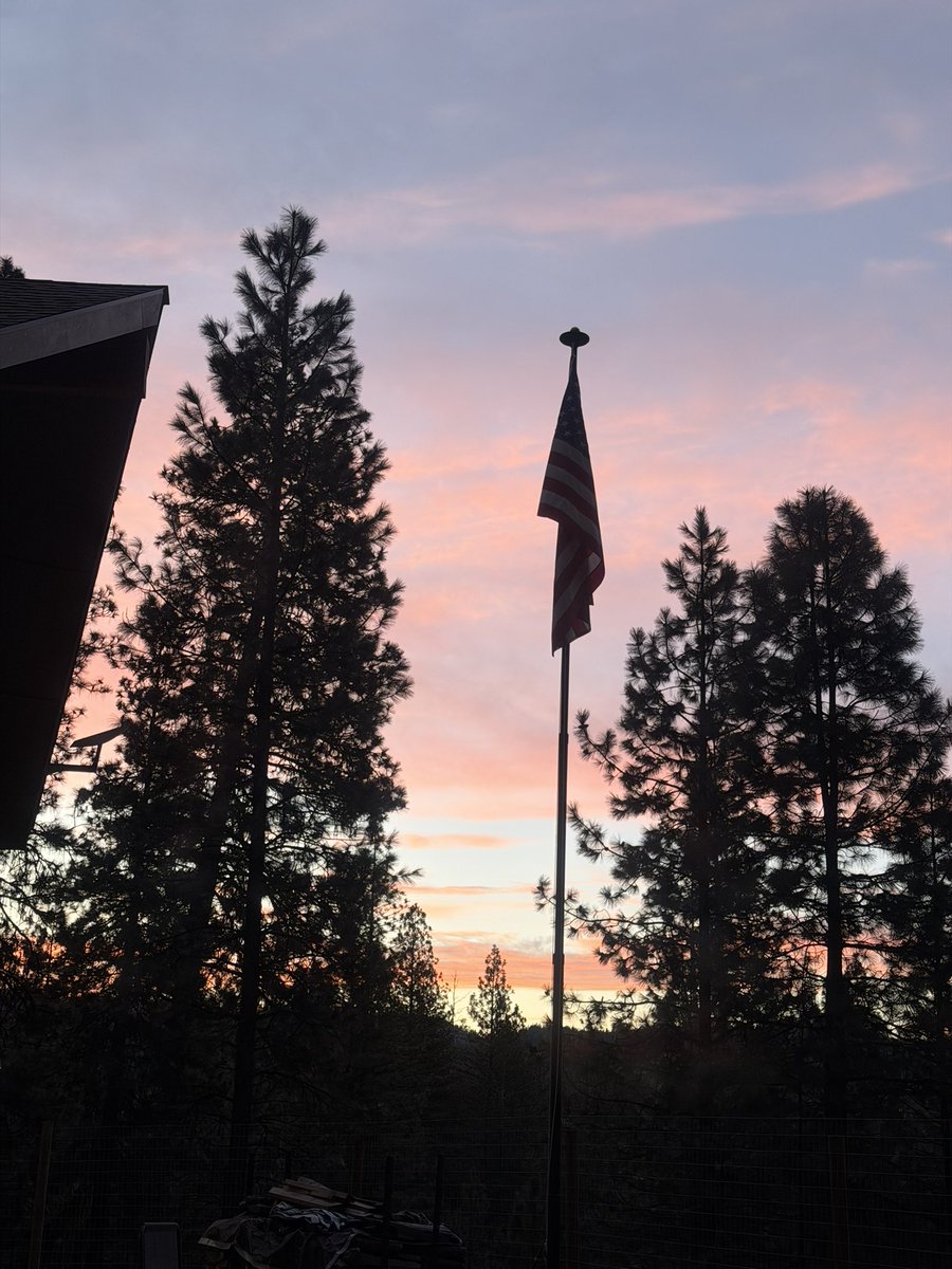 Greywolf 🇺🇸🐺🩸 tweet media