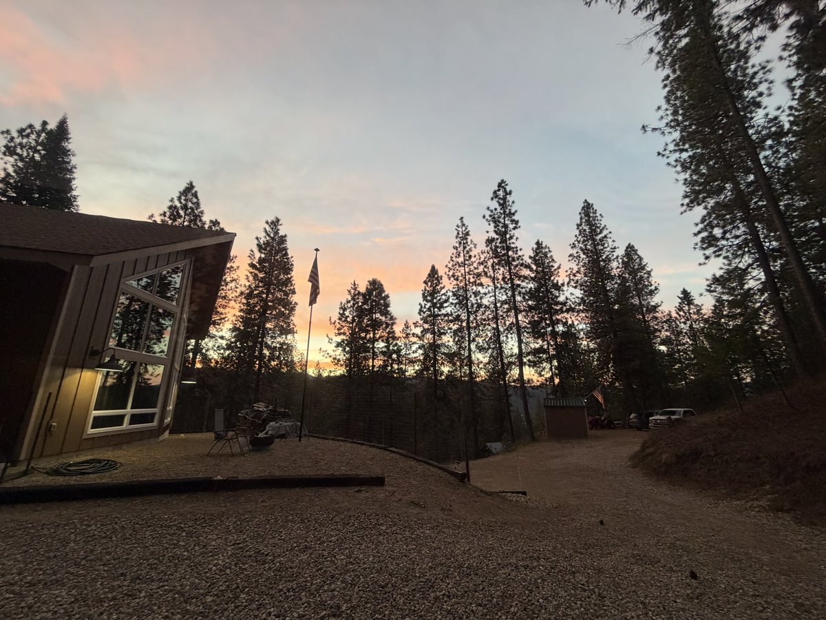 Greywolf 🇺🇸🐺🩸 tweet media