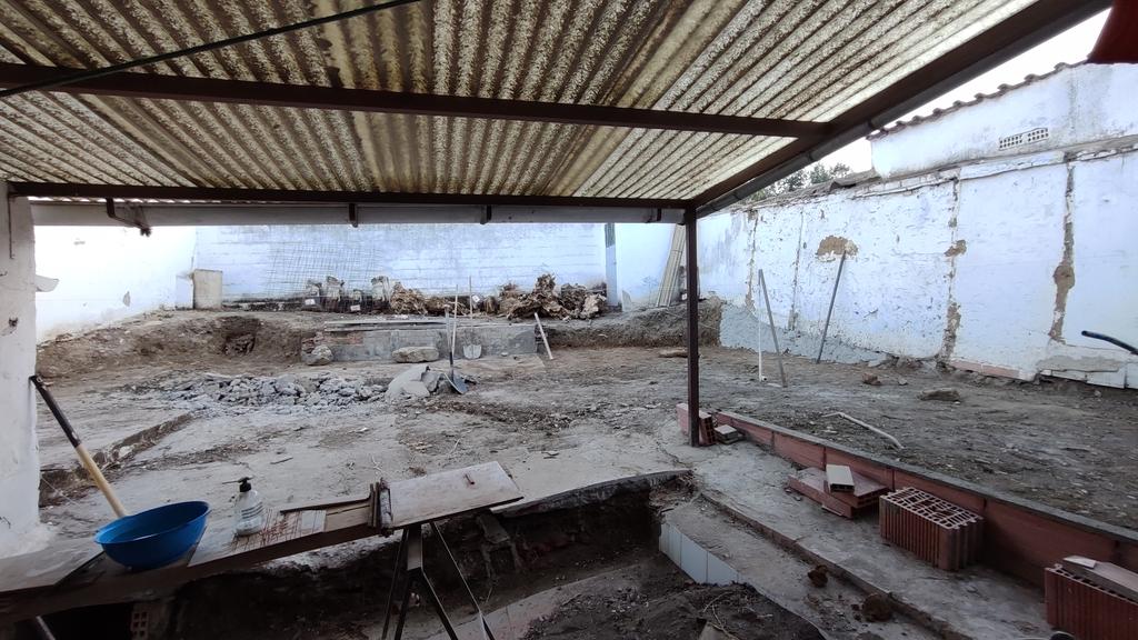 🐾 AnimalLover 🐾 Difusión ☀️ tweet media