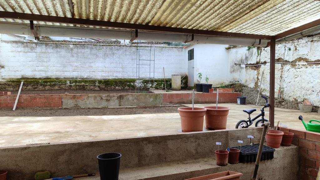 🐾 AnimalLover 🐾 Difusión ☀️ tweet media