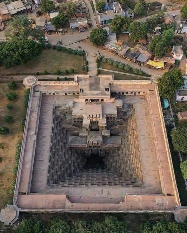 LeoDaVinciWave tweet media