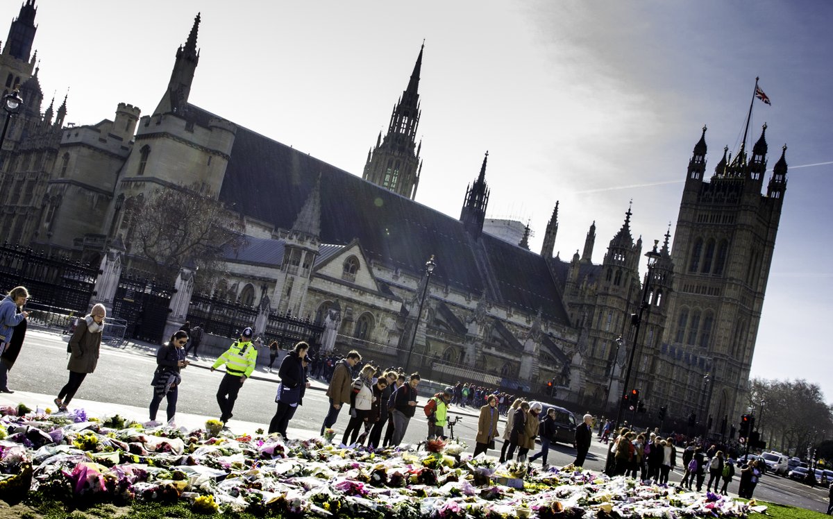 Alan Fraser tweet media