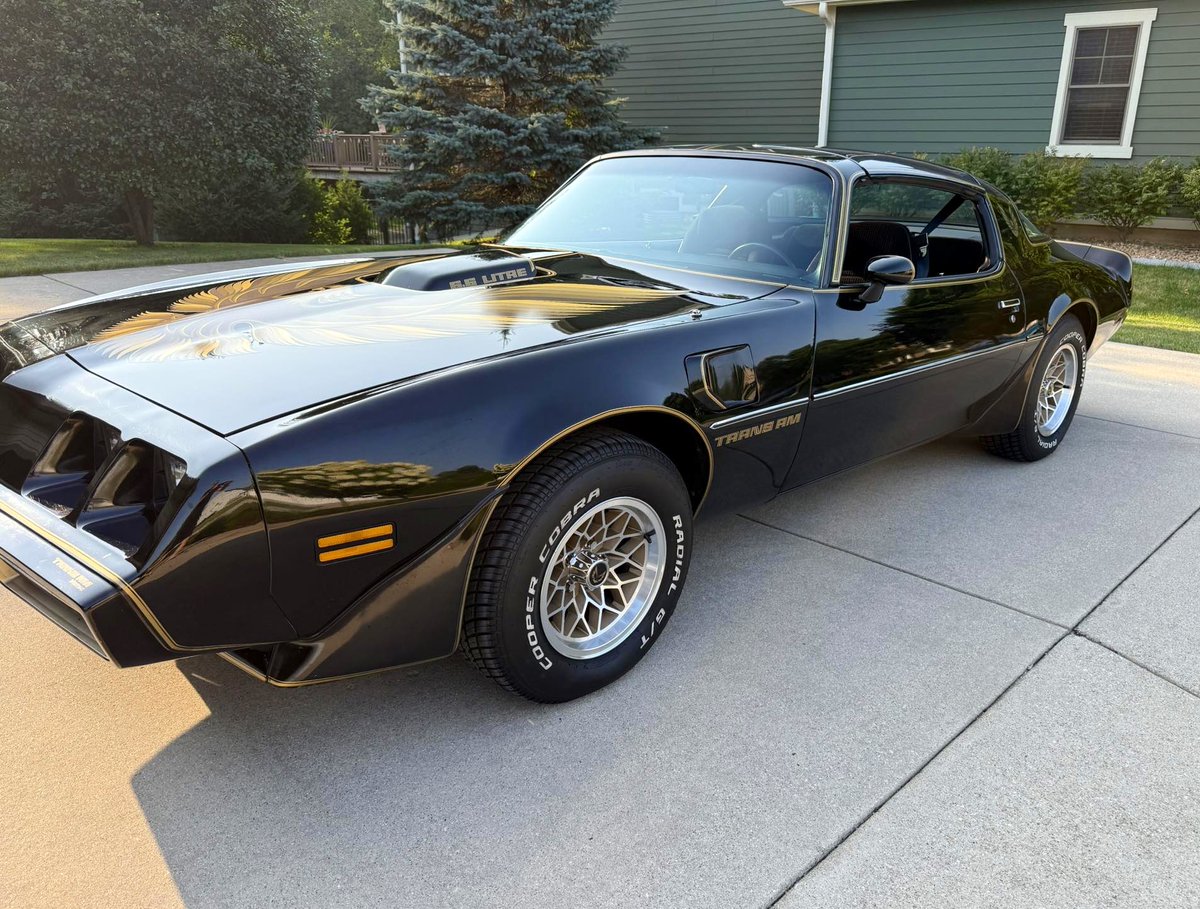 Bandit Run Ric tweet media