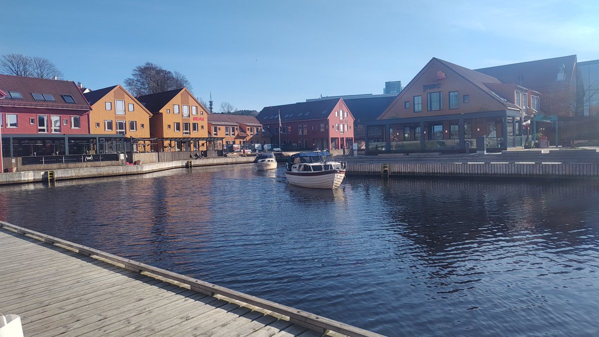 Morten Romme tweet media