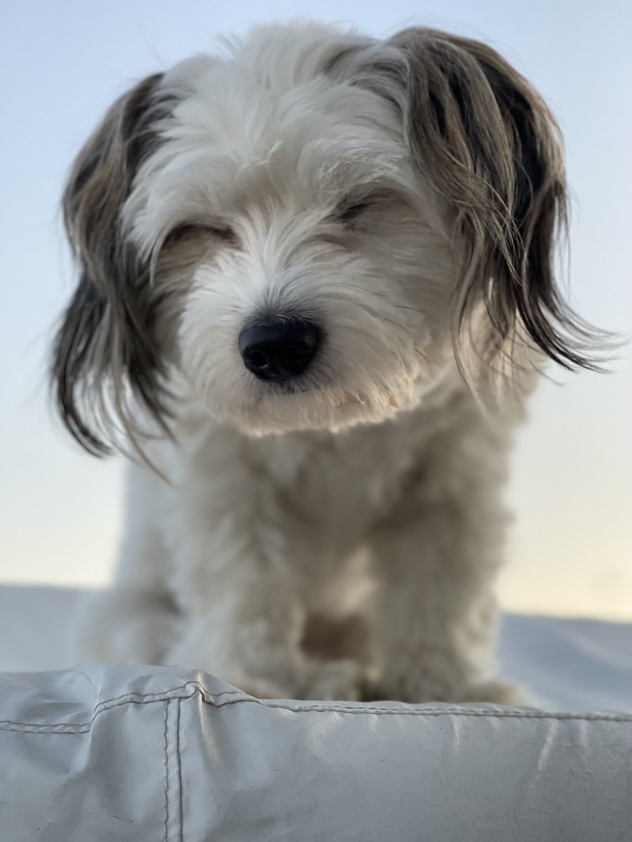 Paul van Dyk tweet media