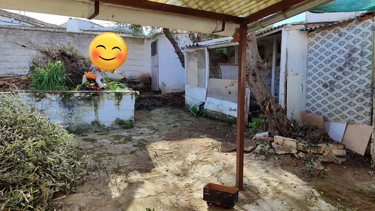 🐾 AnimalLover 🐾 Difusión ☀️ tweet media