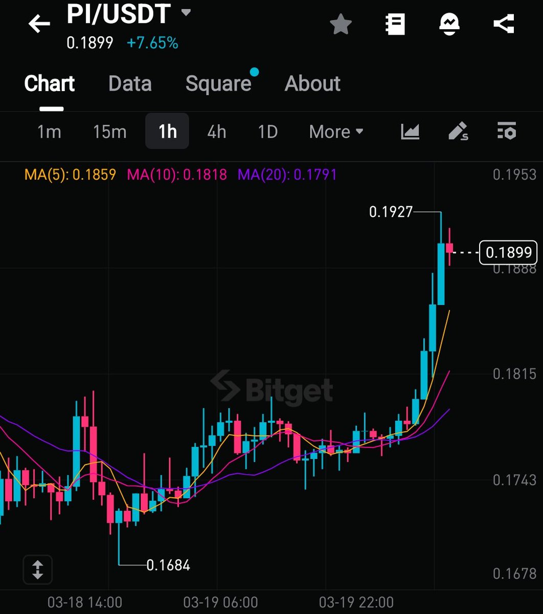 Whale Hunter tweet media