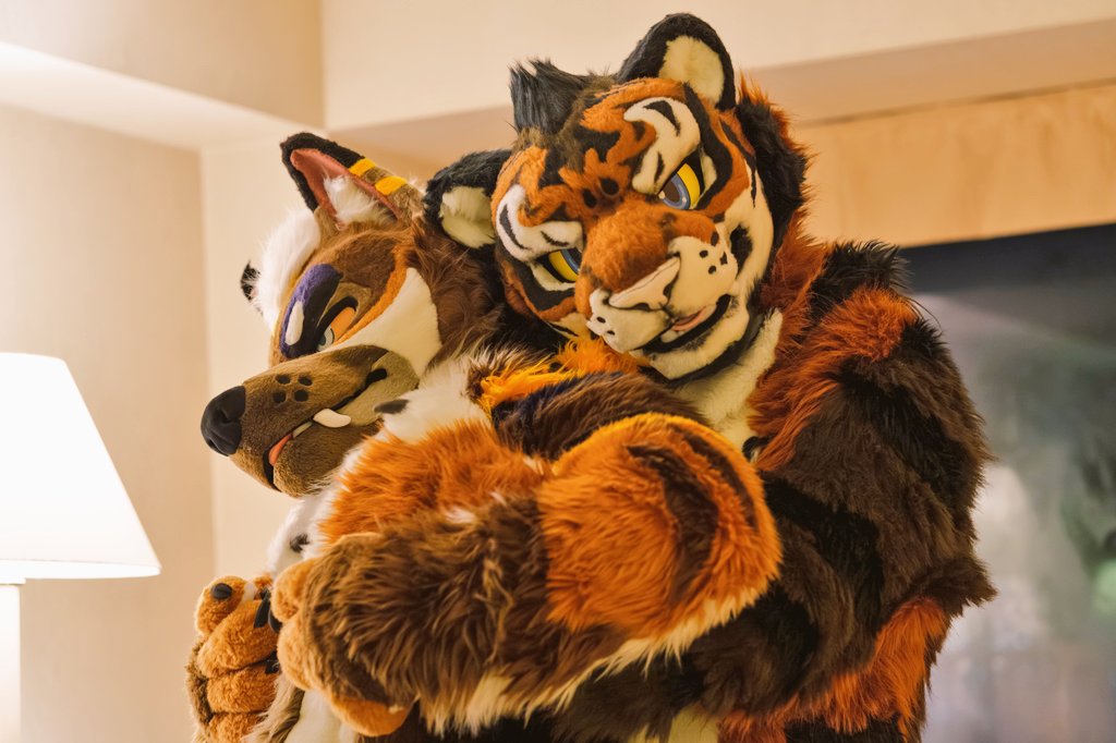 Alex Tiger ꉂꉂ🐯 tweet media