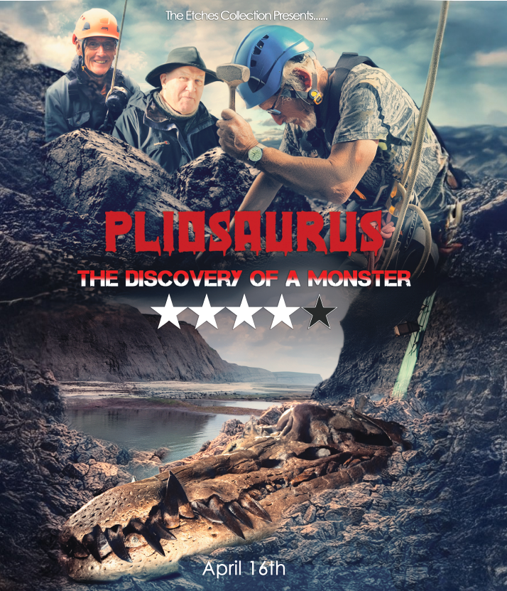 The Etches Collection tweet media