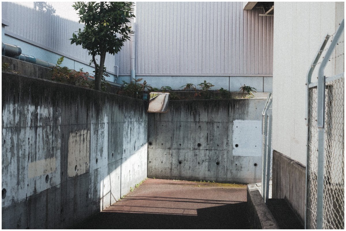 saisekai tweet media