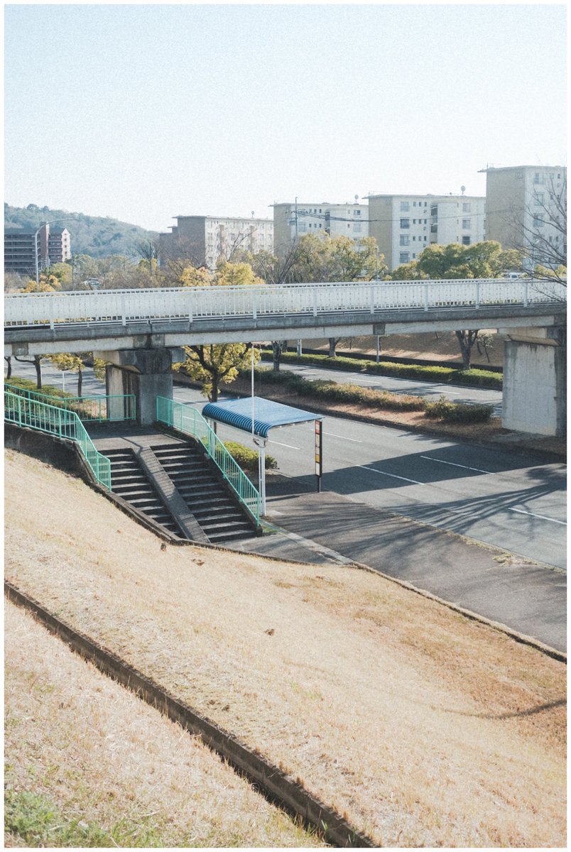 saisekai tweet media