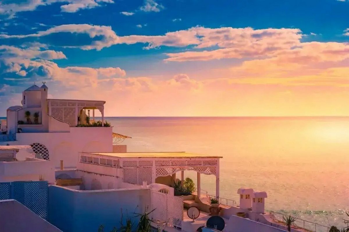 maria jose frank tweet media