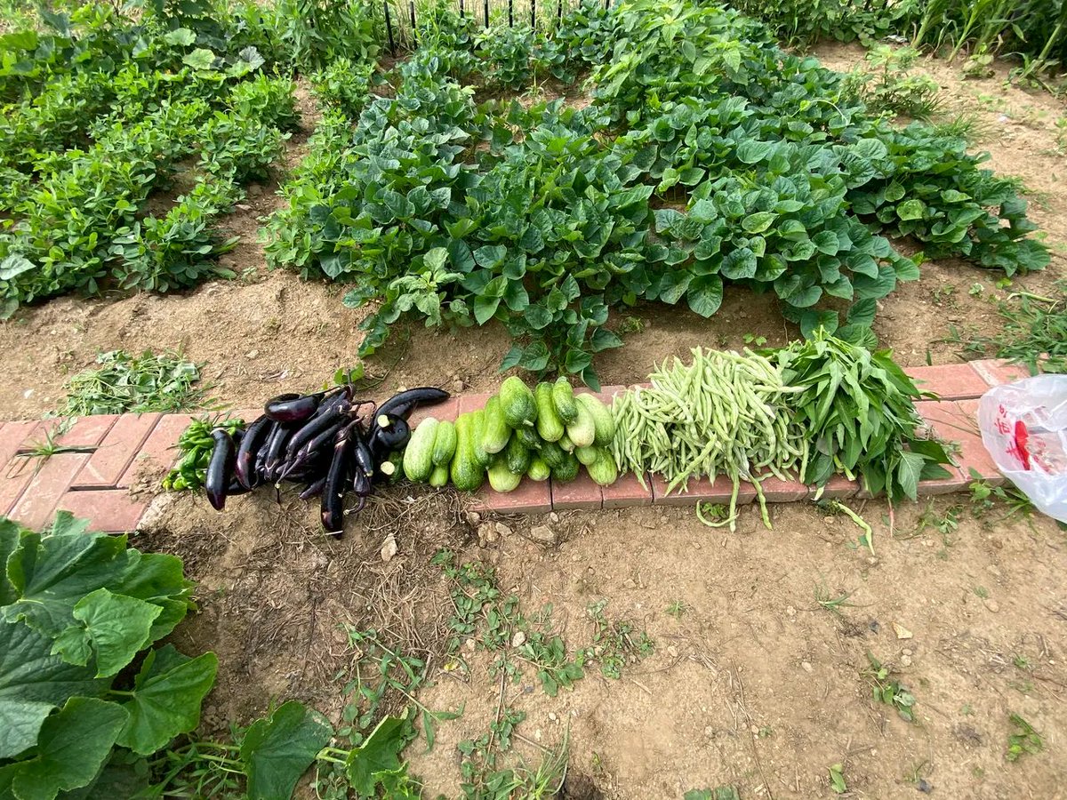 Nick Keown tweet media