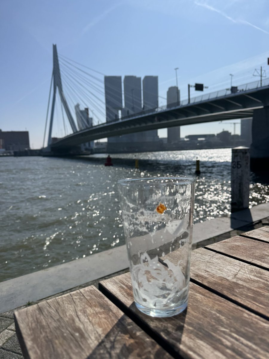 e𝕏quisite 📈 tweet media