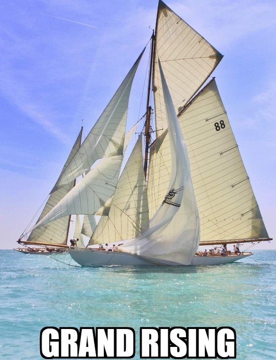 Charlie Lost in the Woods 🐦⬛⍟🎖 tweet media