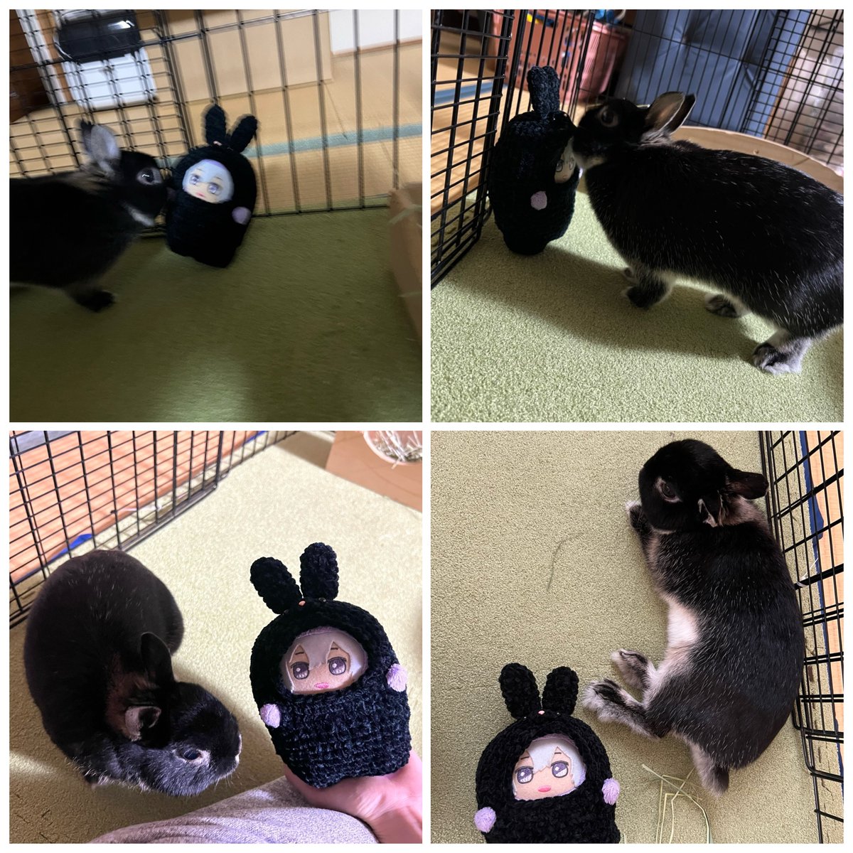 一生写真撮ってる