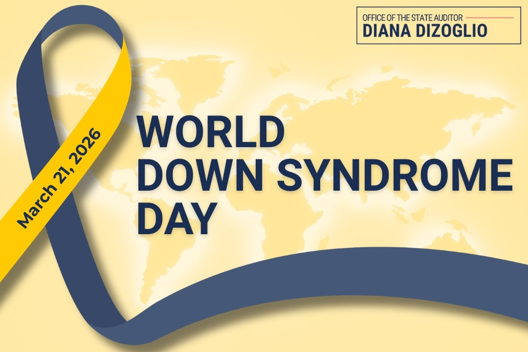 Diana DiZoglio tweet media