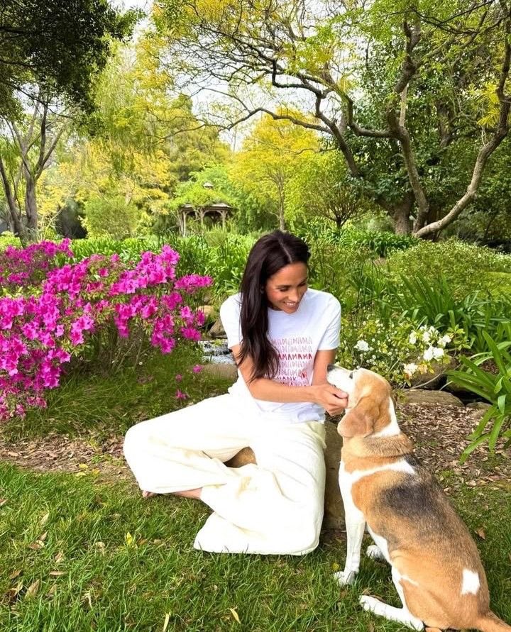 Vanessa Nguyen Hernández tweet media