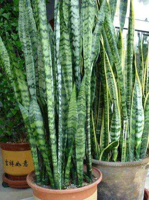 Paul Prentice tweet media