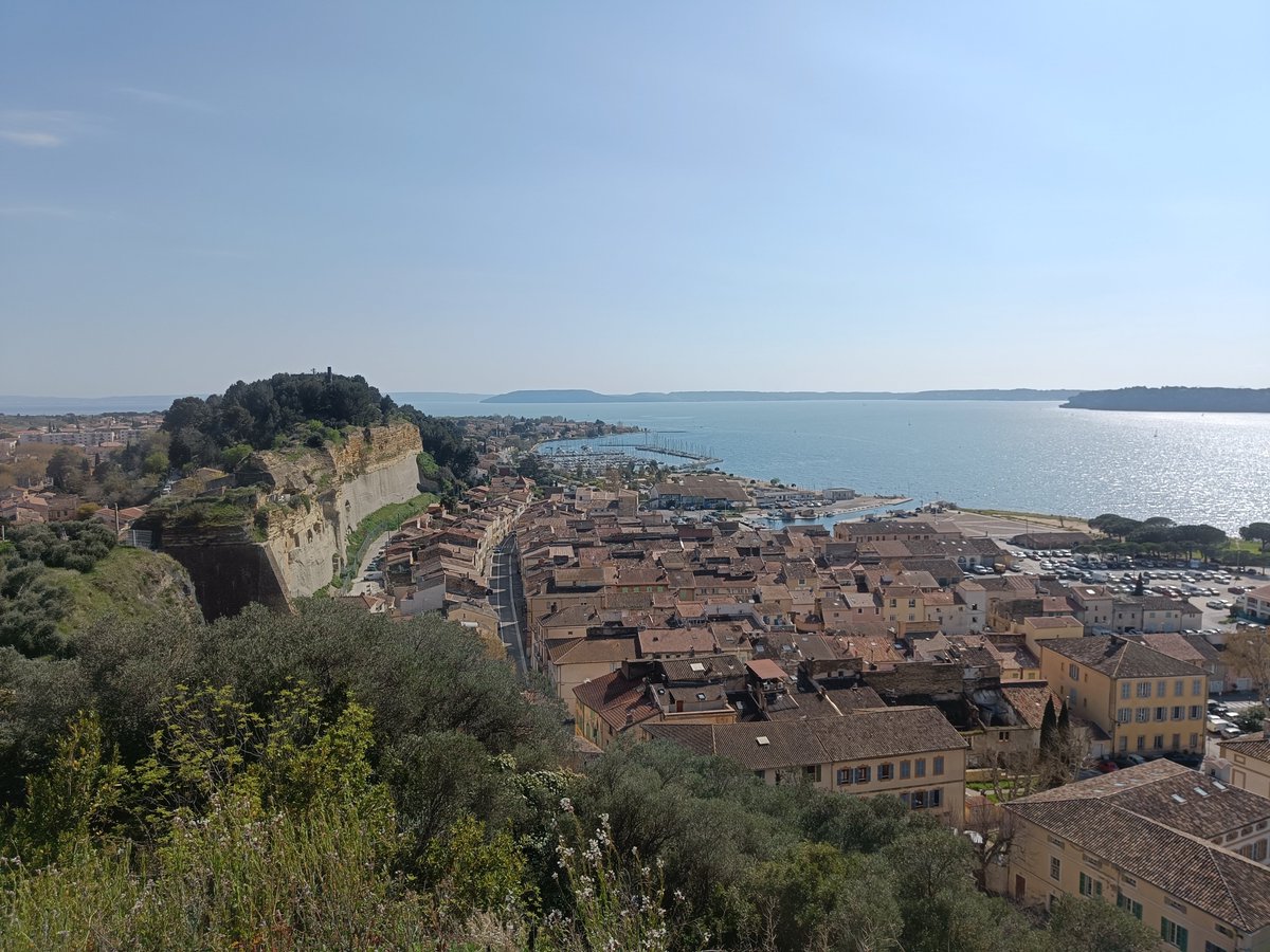 ARK NMS Goison tweet media