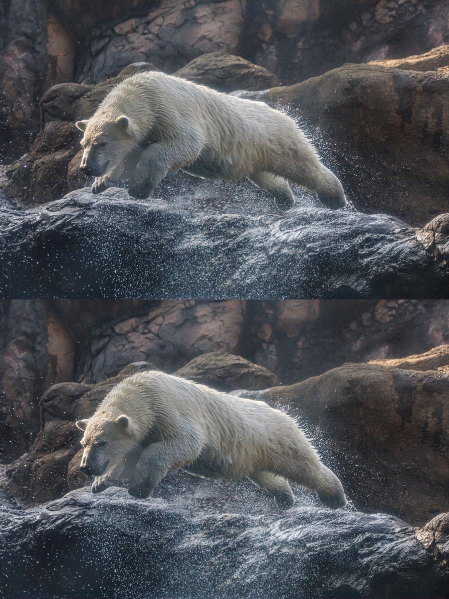 Setsuna Kurouzu | 黒水 雪那 tweet media