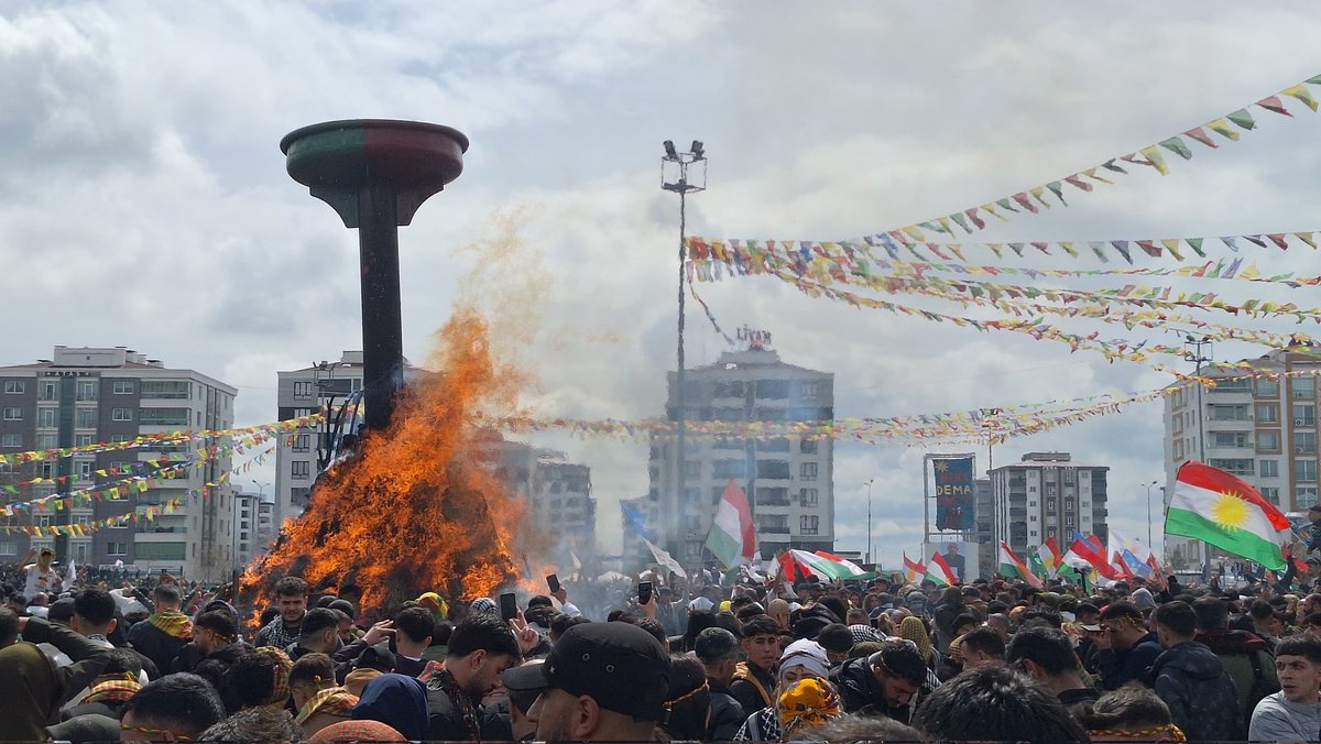 Elif Ekin Saltık tweet media