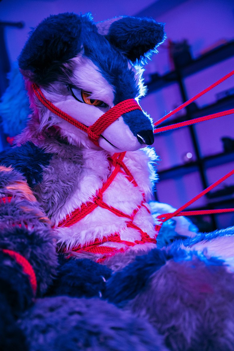 ラスカ@蒼矢🔜??? tweet media