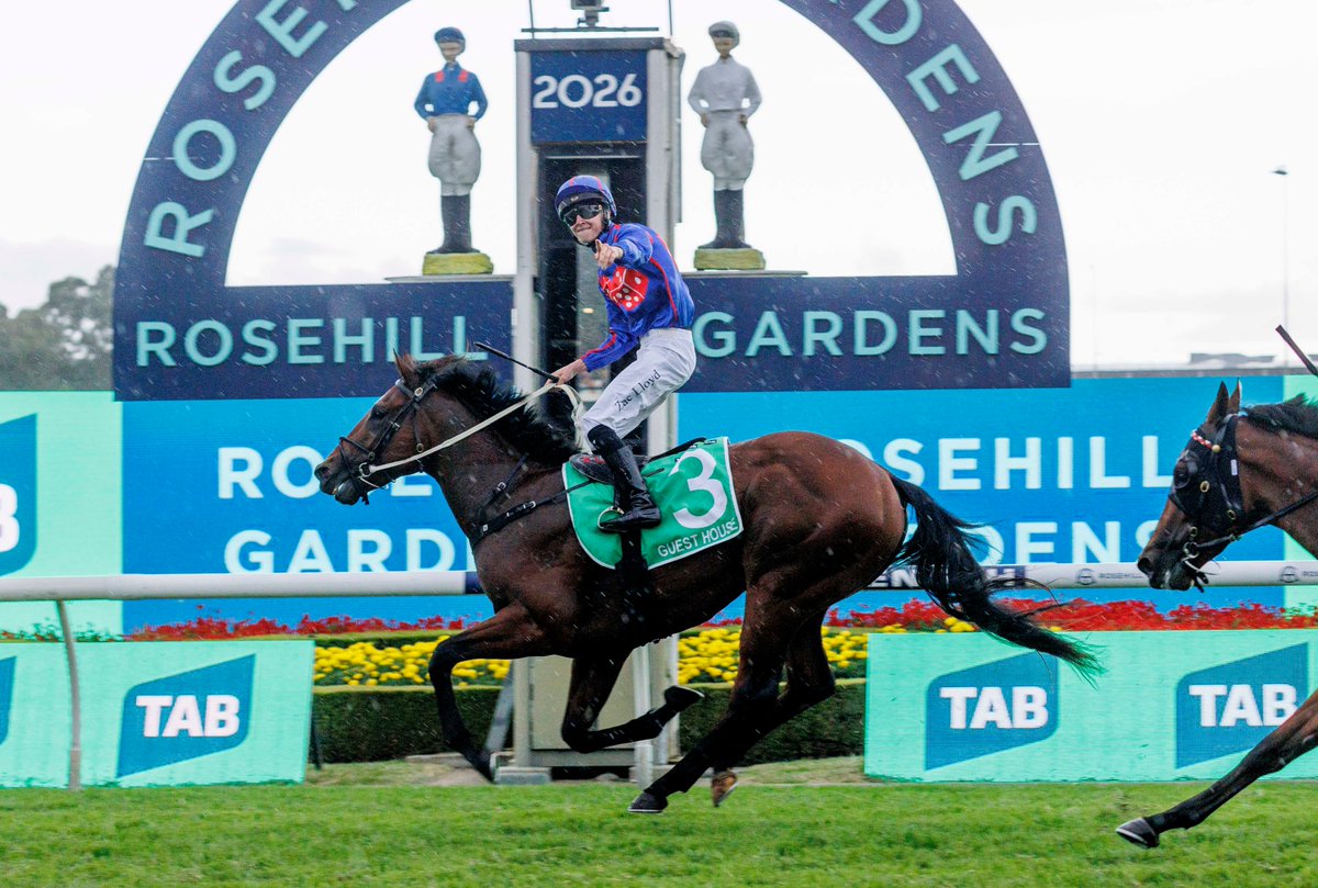 rpbloodstock's tweet photo. Off to a flier: Coolmore's Home Affairs makes blistering start as first-crop colt Guest House lands Golden Slipper

Read more 👉 https://t.co/sW7hGALrYQ https://t.co/wCtDPnQyqJ