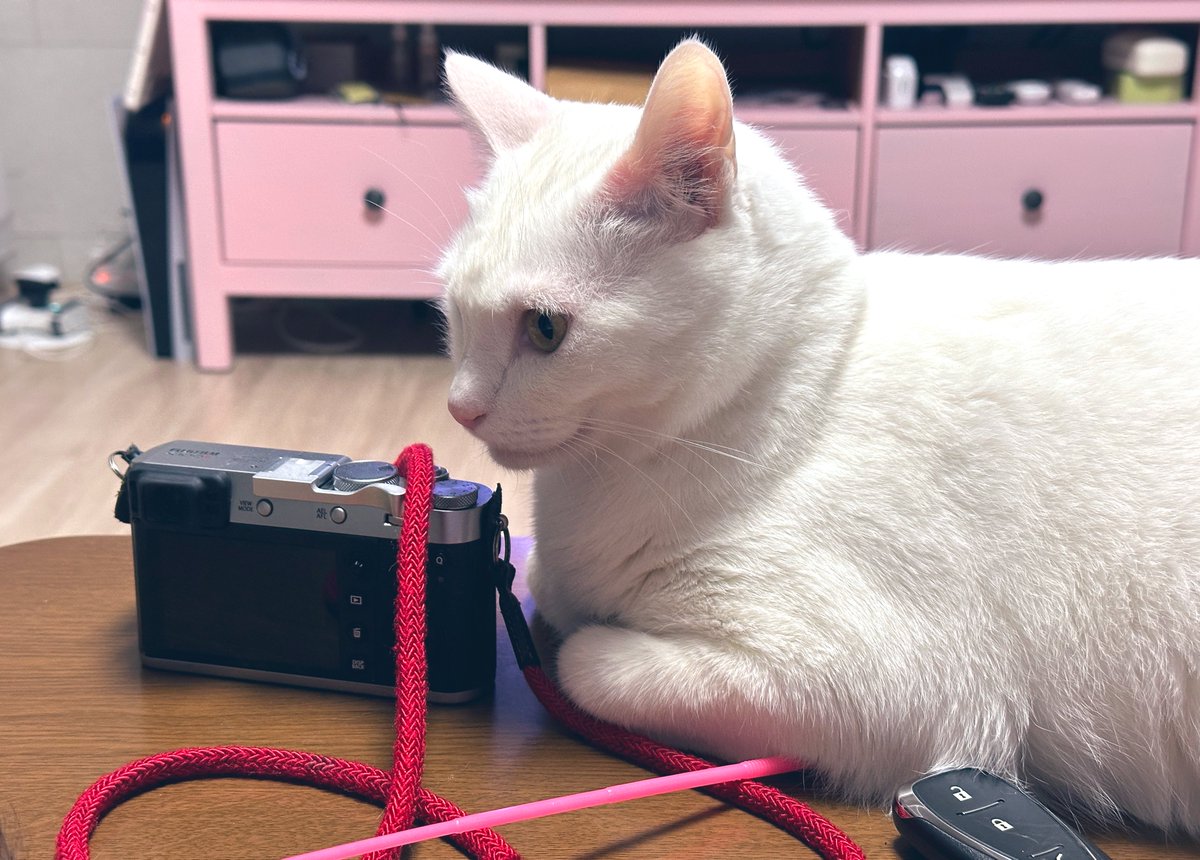 black file tweet media