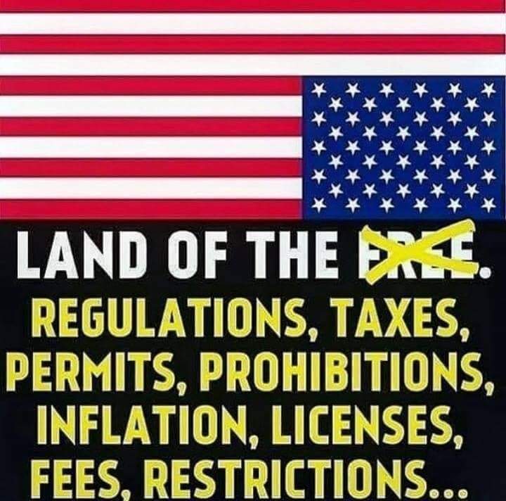 Agorist Nexus (Brandon) tweet media