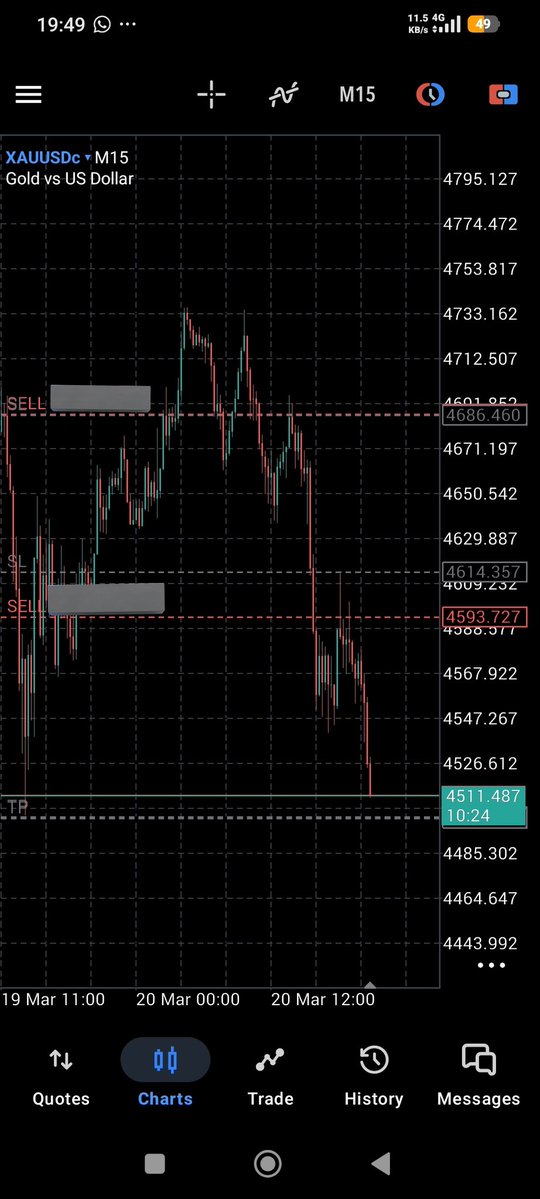 Spotless ||🦅 tweet media
