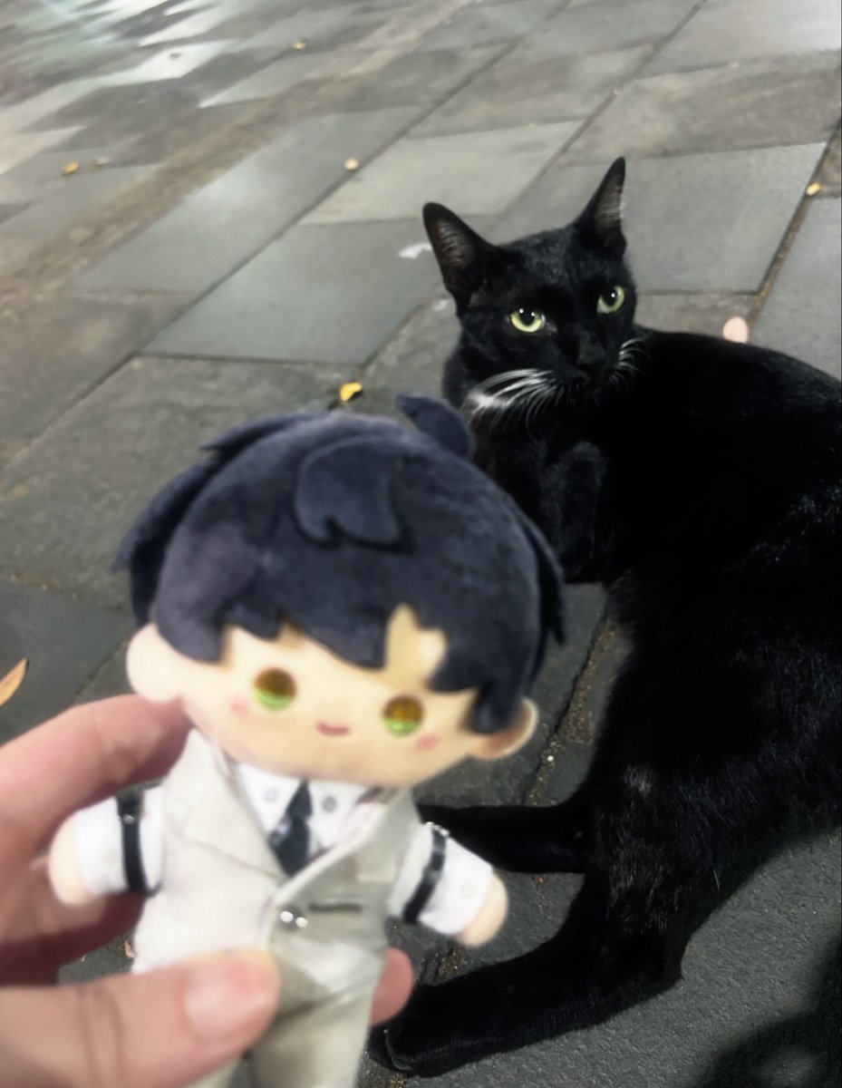 starrysky💫 tweet media