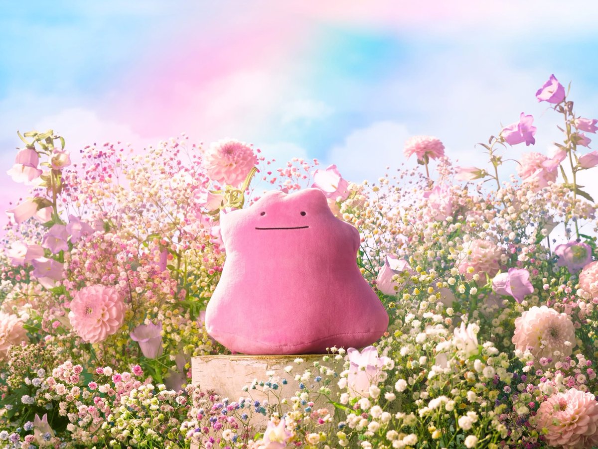 Yrellify tweet media