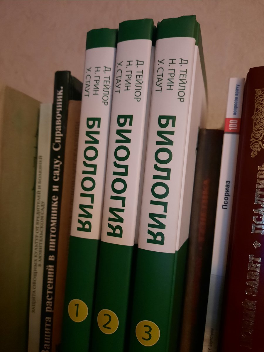 xSync 🇰🇵😼 tweet media