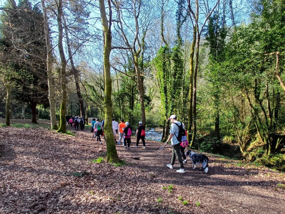 Concello de Neda tweet media