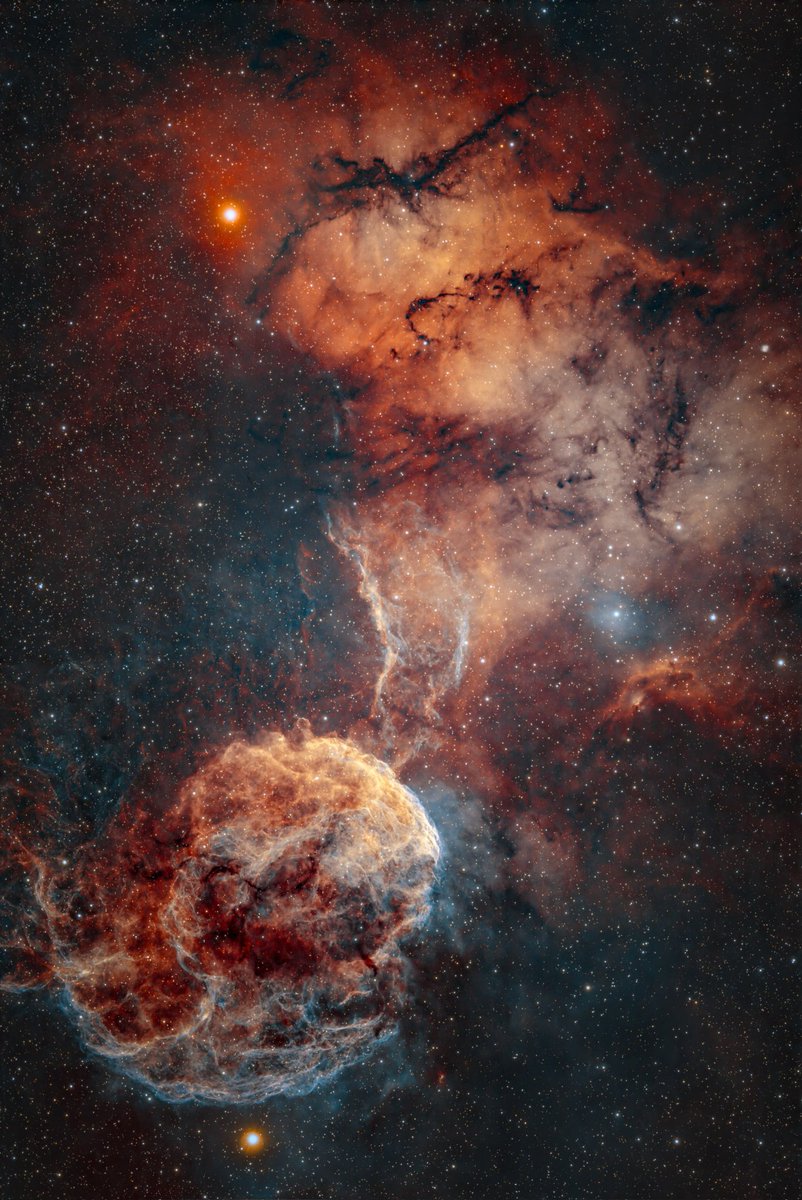 Daniel Meneses tweet media