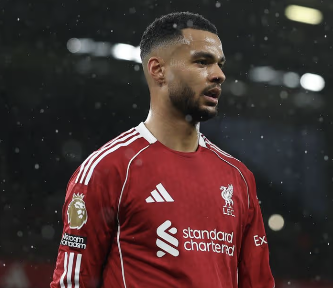 Living Liverpool tweet media