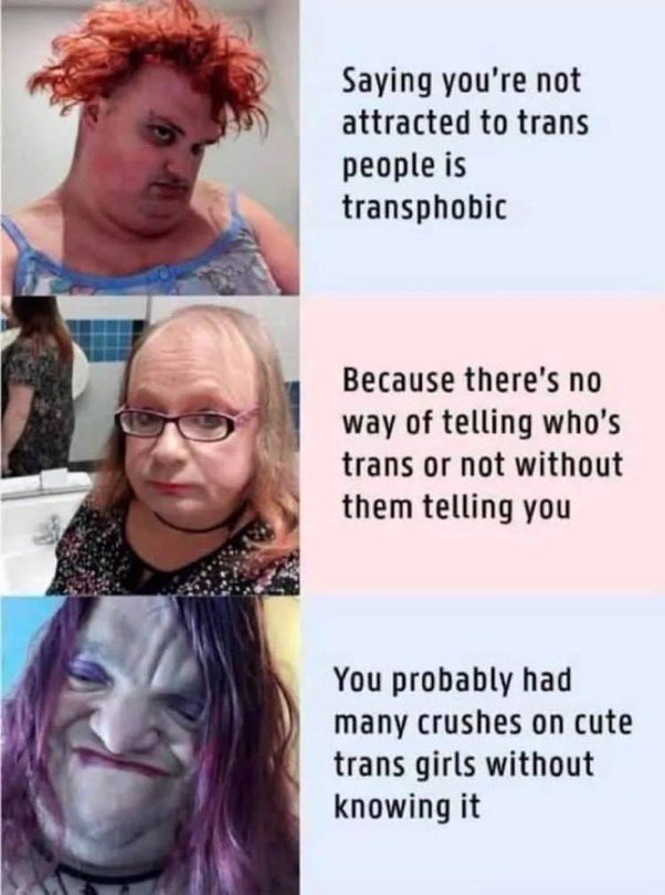 ScrollofTruth tweet media