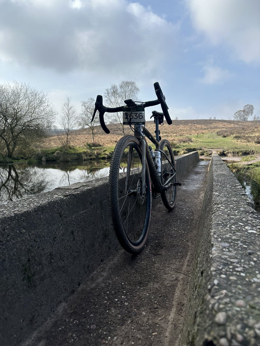 Hotwheels tweet media