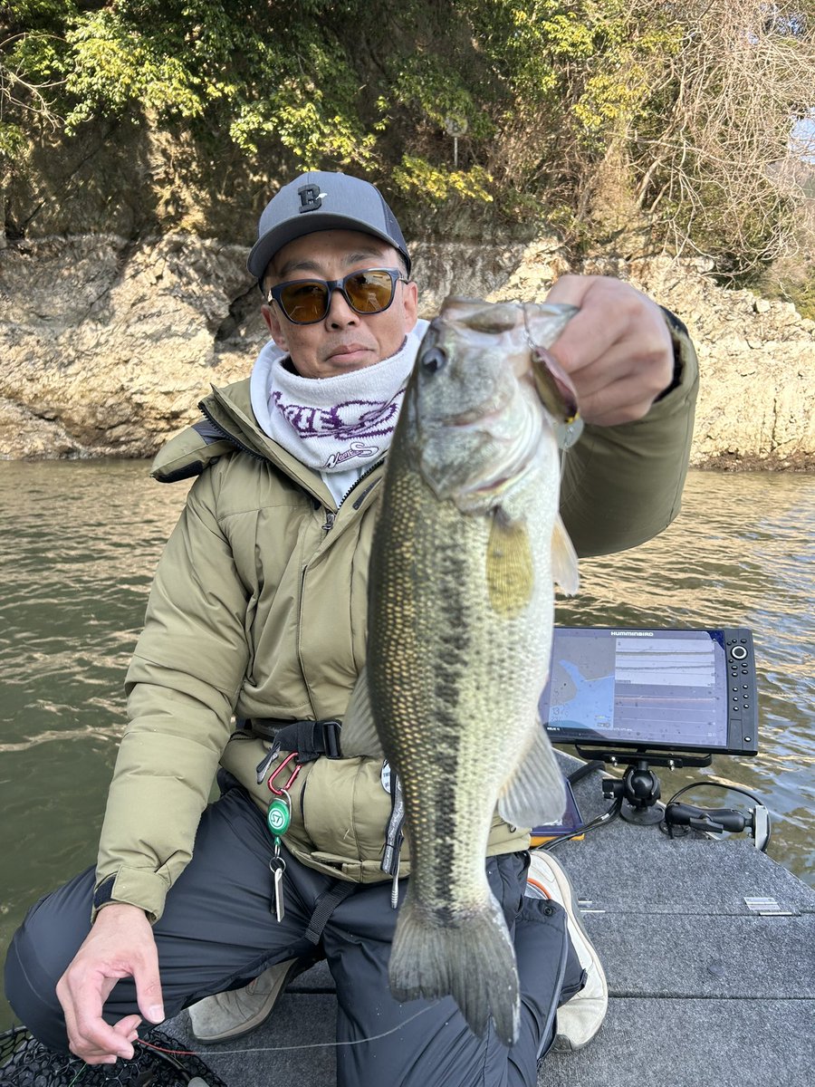 Жはせあに@ tweet media