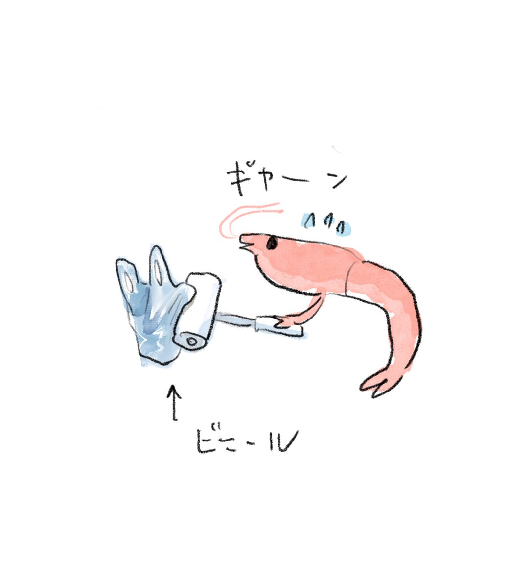 すしず🦐エビちゃん🍤 tweet media