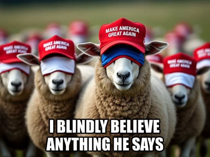 A Random Person tweet media