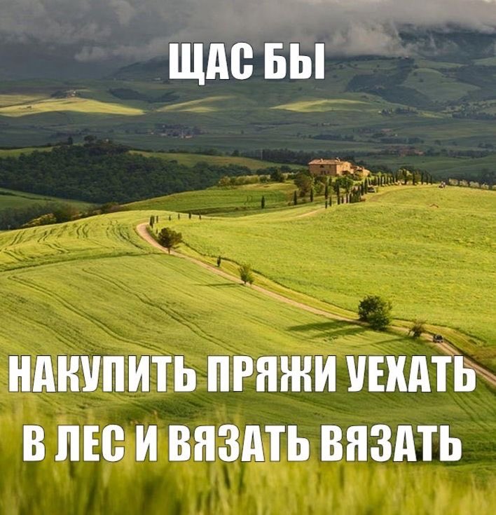 Юлия Сергеевна tweet media