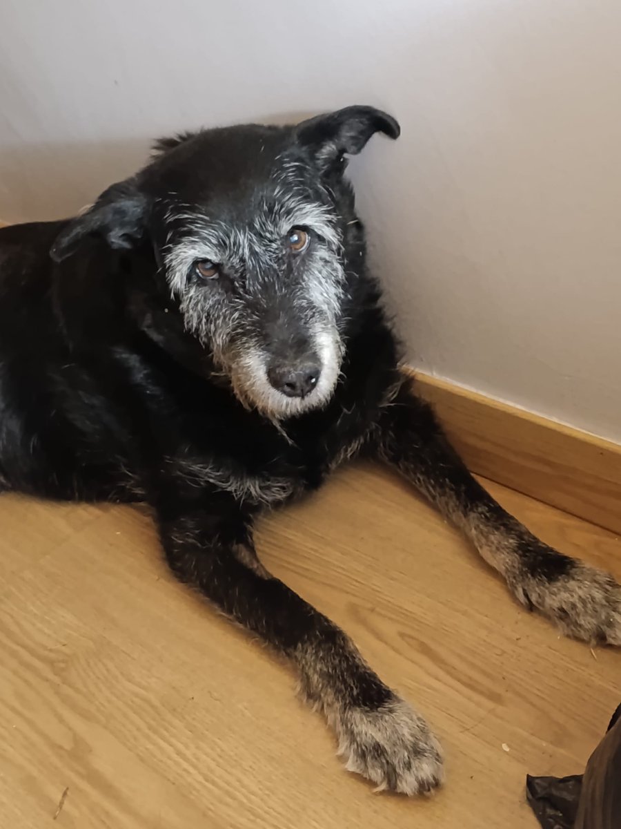 tierrayagua tweet media