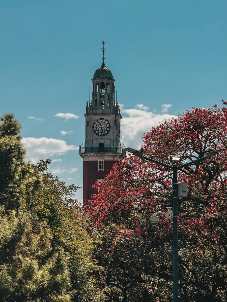 RESPIRAARGENTINA tweet media