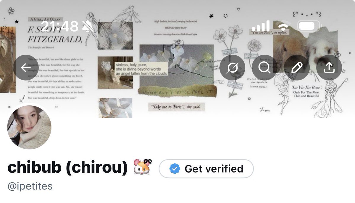 ..chibub (chirou) 🐹ྀི tweet media