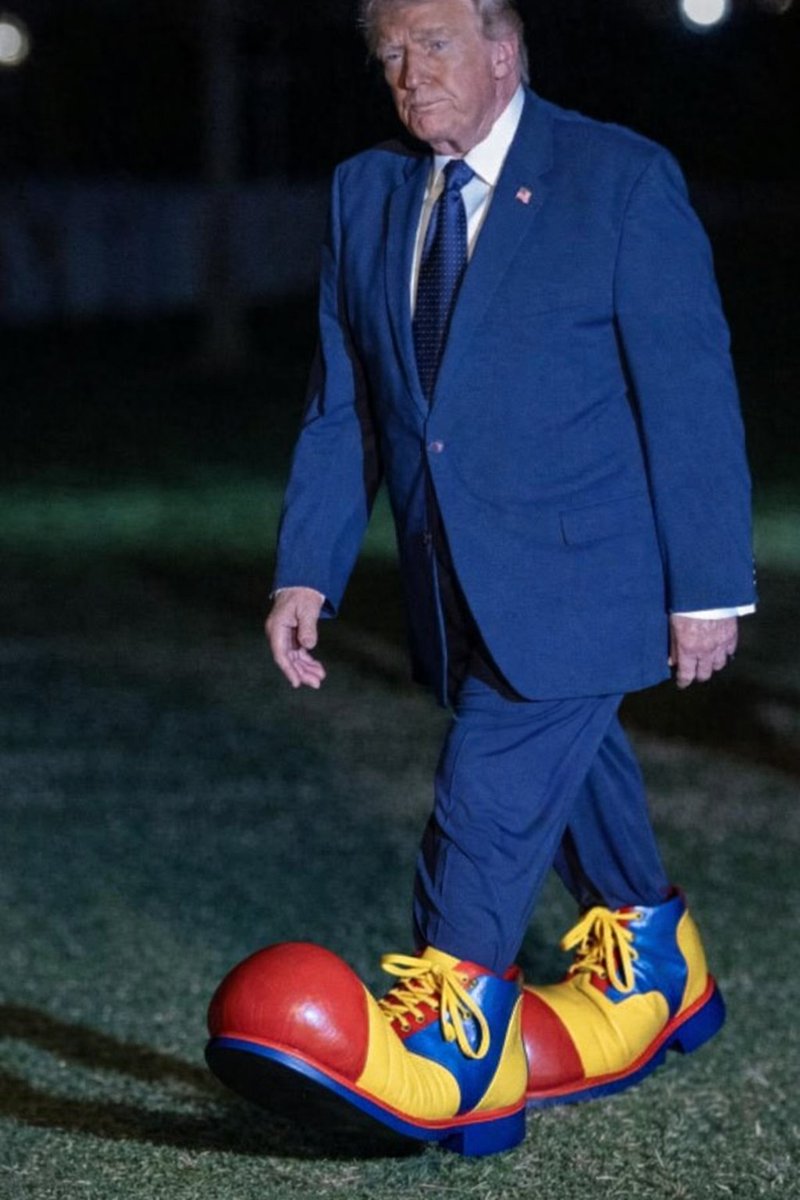 Blombird tweet media