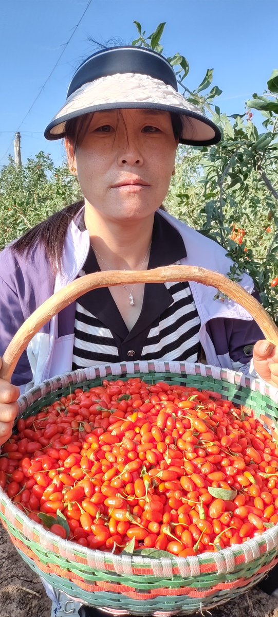 Ryan Mueller tweet media