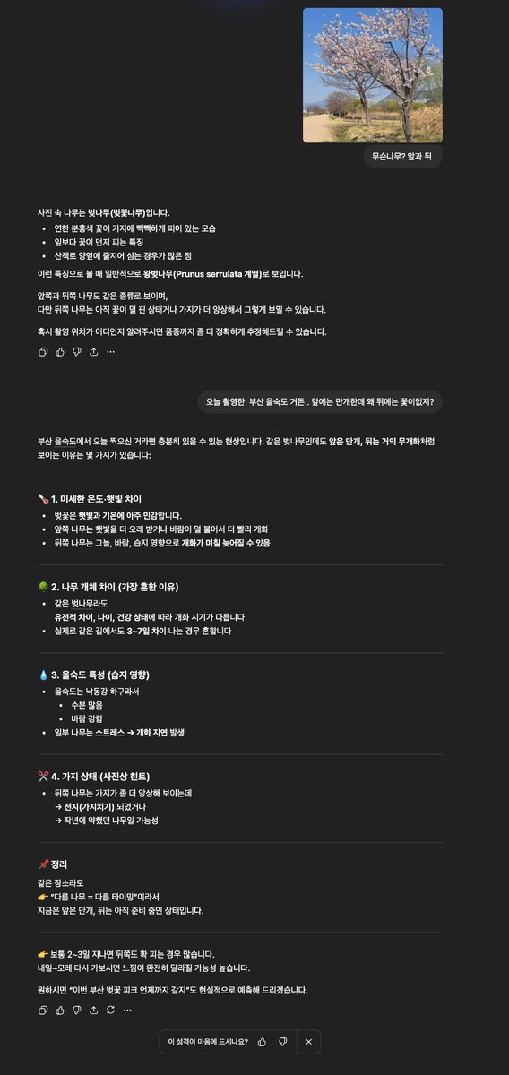 제이미 tweet media