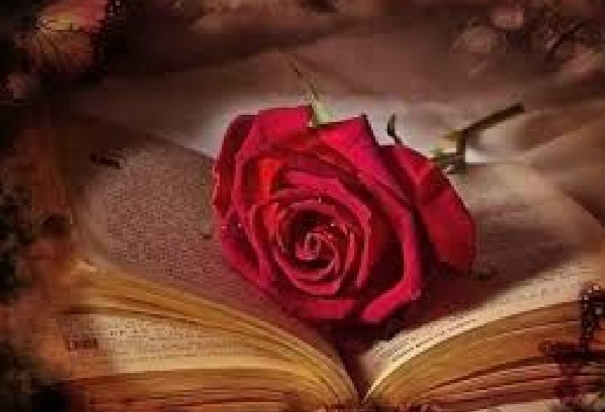 Lola 👸 tweet media